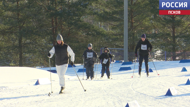 Лыжню России перенесли в Великие Луки из-за отсутствия снега на традиционном месте проведения