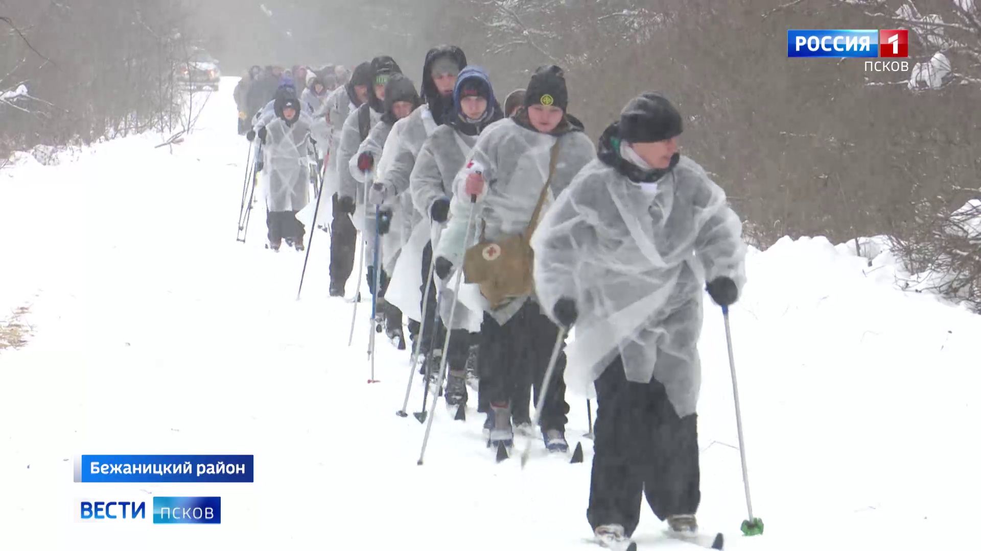 Сохранить историческую память. В бежаницкой деревне Стега отметили присвоение району звания "Край партизанской славы" 