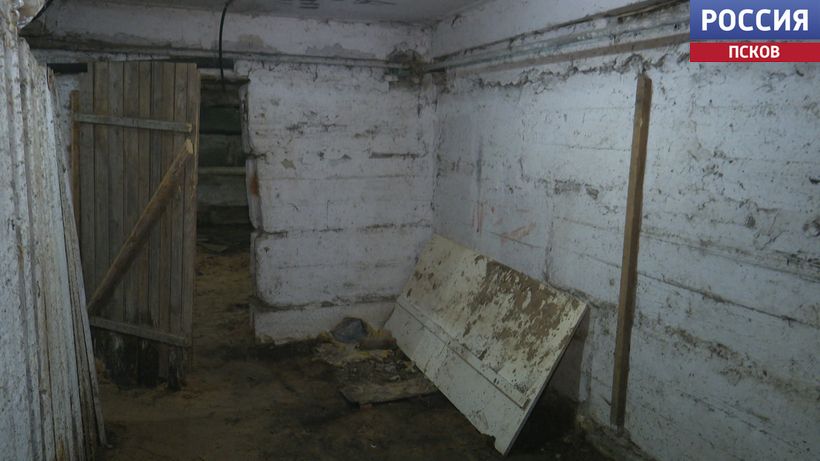 Запах, сырость и полчища насекомых - жители многоквартирного дома в Крестах жалуются, что их дом затапливают нечистоты