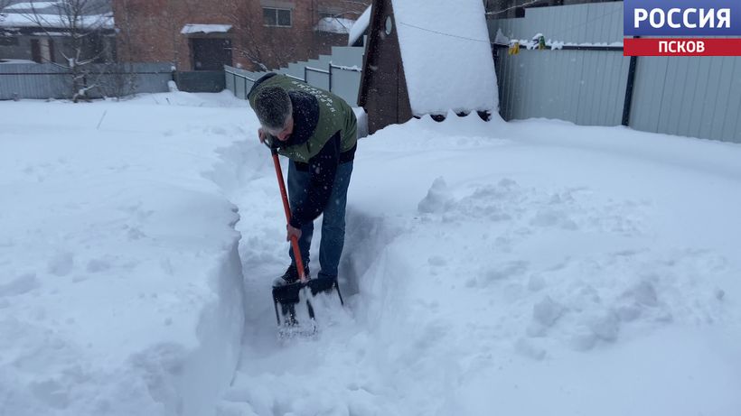 В Псковской области активисты "Народного фронта" помогают по хозяйству матери участника СВО