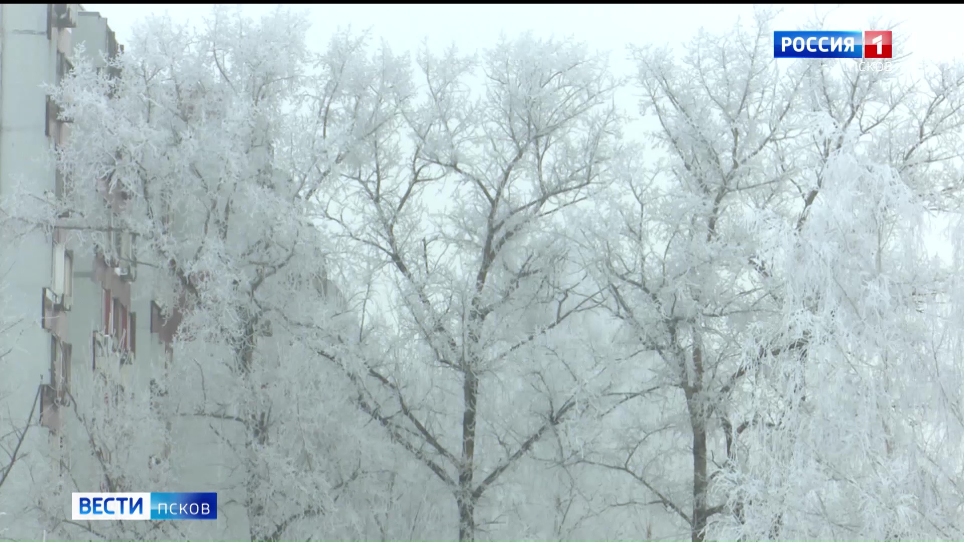 В Великих Луках расчищают улицы после ночного снегопада