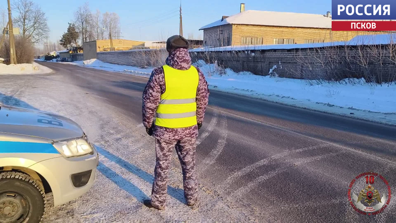 Сопровождают колонны и обеспечивают порядок. Военной автоинспекции Росгвардии - 30 лет