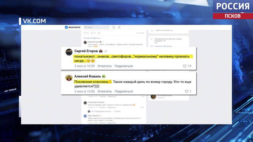 Главное из соцсетей: псковичи обсуждают взаимное неуважение на дороге, спасение аистенка и диких животные в городе