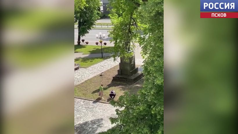 В Пскове устанавливают обстоятельства кражи тюльпанов с клумбы у памятника Кирову
