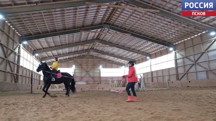 Подаренный губернатором конь Адмирал стал любимцем воспитанников спортшколы "Надежда"