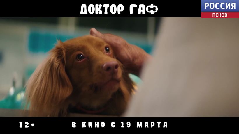 "Доктор Гаф": новый фильм о докторе, который понимает животных, уже в кино
