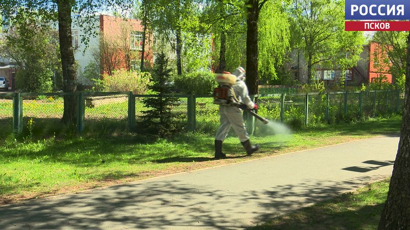 Безвредно для людей и питомцев: в Пскове начали обработку общественных территорий от клещей