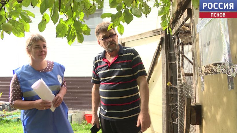 Маркировка кур, вакцины и штрафы. Что нужно знать птицеводам