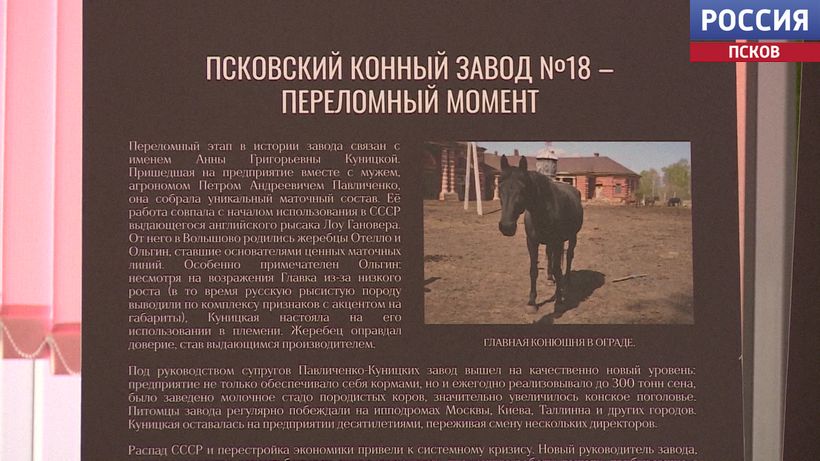 В Порхове открылась выставка "2000 верст. Кони и люди" о подвиге жителей Волышово