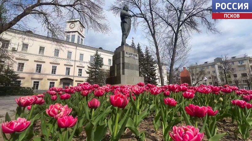 Площадь Ленина утонула в анютиных глазках, а у многоэтажек горожане создают вечные сады и мини-клумбы: в Пскове стартовал сезон весеннего цветения