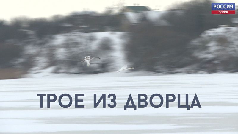 Трое из Дворца. Эфир 12.02.2021