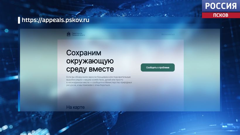 В Псковской области запустили единый ресурс для сообщений о незаконной вырубке леса
